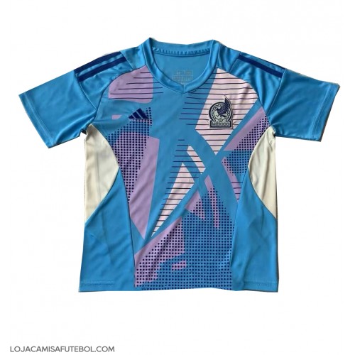 Camisa de Futebol México Goleiro Equipamento Secundário Copa America 2024 Manga Curta